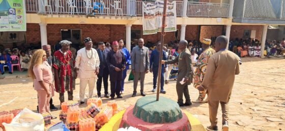 Nomination de ndi wamba séveri